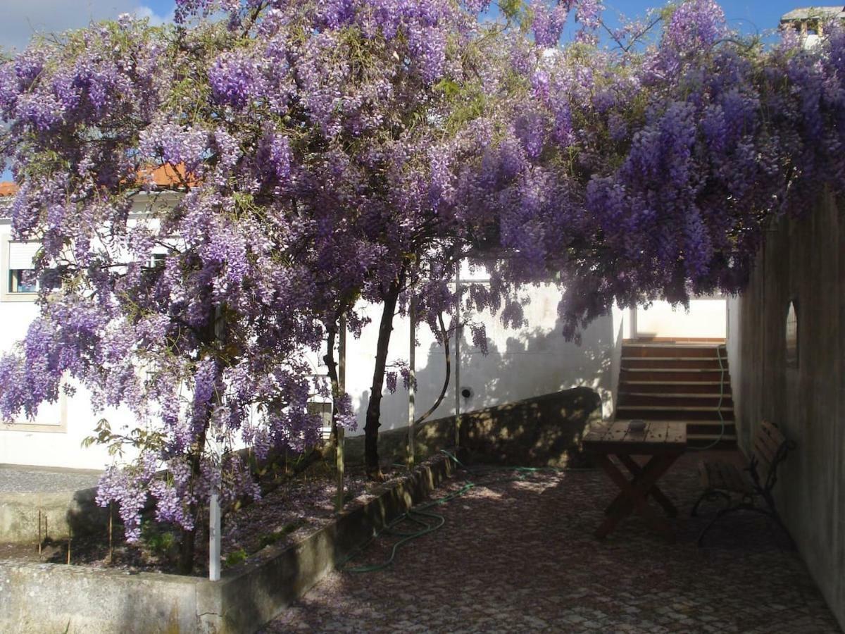 Enjoy The Best Of Countryside Leiria Exterior foto